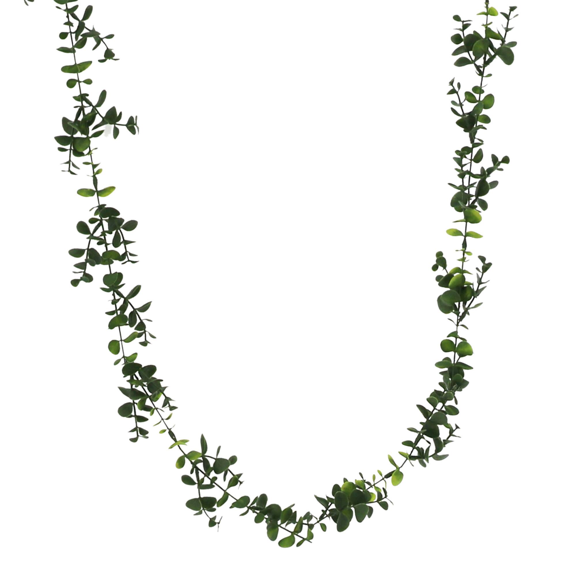 5ft. Eucalyptus Coiled Garland by Ashland®